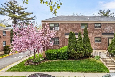 Corner 2 Bedrooms Garden Apt, Living Rm, Full Bath, Extra Window - photo 2