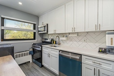 Corner 2 Bedrooms Garden Apt, Living Rm, Full Bath, Extra Window - photo 8