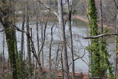 Discover an exceptional waterfront lifestyle on Lake Hartwell - photo 15