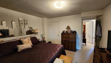 Lakeview home! Split floor 3 bed 2 bath home, offers 1680 sq ft - photo 16
