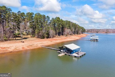 Lakefront Legacy Property on Lake Hartwell - Endless - photo 29