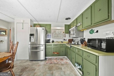 Lakefront Legacy Property on Lake Hartwell - Endless - photo 36
