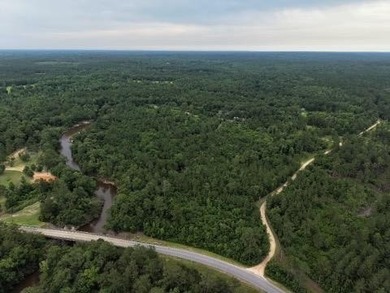 RIVERFRONT LAND! Rare opportunity to own 14+/- acres of fully - photo 1