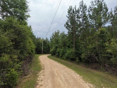 RIVERFRONT LAND! Rare opportunity to own 14+/- acres of fully - photo 4