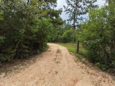 RIVERFRONT LAND! Rare opportunity to own 14+/- acres of fully - photo 5
