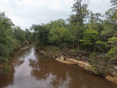 RIVERFRONT LAND! Rare opportunity to own 14+/- acres of fully - photo 9