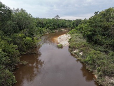 RIVERFRONT LAND! Rare opportunity to own 14+/- acres of fully - photo 10
