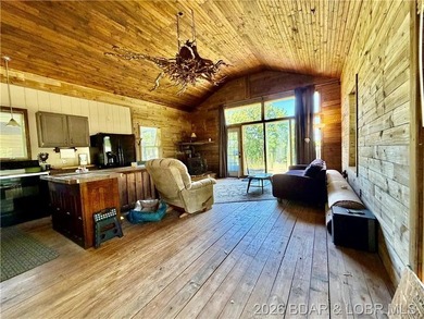 Endless Potential & Year-Round Lake Views Under $200K! On 84 - photo 6