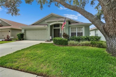 Lake Home For Sale in Riverview, Florida