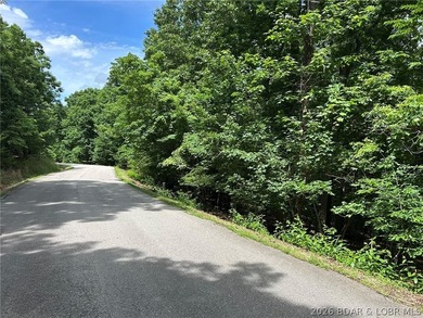 Looking for a homesite in the middle of everything at Lake of - photo 2