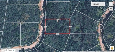 Looking for a homesite in the middle of everything at Lake of - photo 3