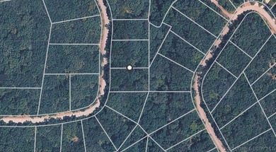 Looking for a homesite in the middle of everything at Lake of - photo 5