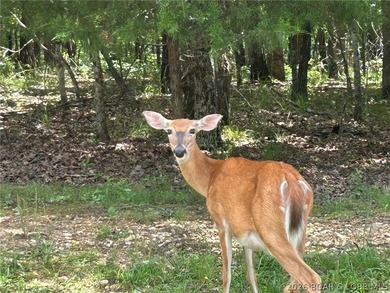 Looking for a homesite in the middle of everything at Lake of - photo 6