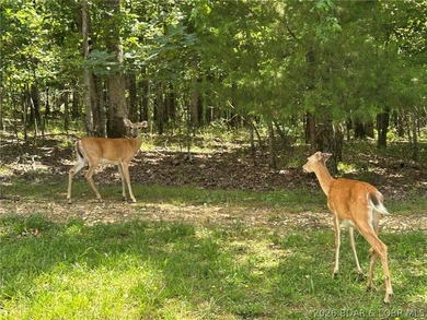 Looking for a homesite in the middle of everything at Lake of - photo 7