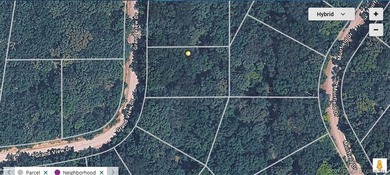 Looking for a homesite in the middle of everything at Lake of - photo 8