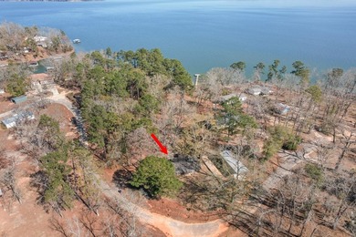 So much to enjoy with this beautifully updated Lake Eufaula home - photo 38