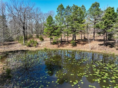 Discover the perfect blend of privacy, recreation, and - photo 2