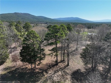 Discover the perfect blend of privacy, recreation, and - photo 5