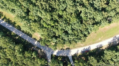 Build your dream estate on this rare lakefront lot in The - photo 10
