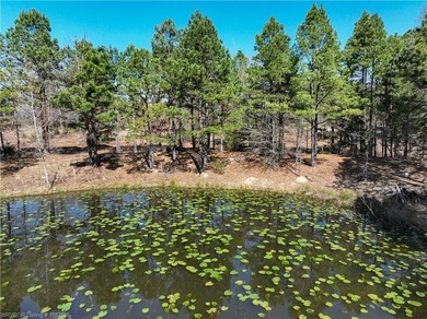 Discover the perfect blend of privacy, recreation, and - photo 10