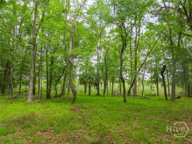 An Extraordinary Lowcountry Homesite - Where the Marsh Meets the - photo 11