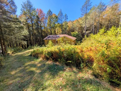 Pepacton Reservoir Home For Sale in Downsville New York