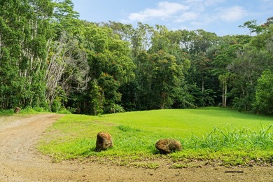 Welcome Home to Hauiki Road! This beautiful 37 acre property in - photo 11