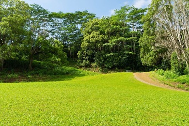 Welcome Home to Hauiki Road! This beautiful 37 acre property in - photo 12