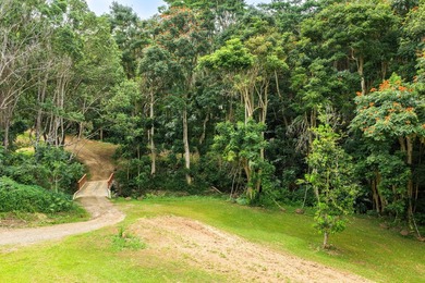 Welcome Home to Hauiki Road! This beautiful 37 acre property in - photo 13