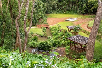 Welcome Home to Hauiki Road! This beautiful 37 acre property in - photo 14