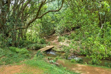 Welcome Home to Hauiki Road! This beautiful 37 acre property in - photo 17