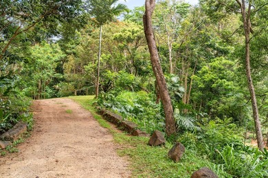 Welcome Home to Hauiki Road! This beautiful 37 acre property in - photo 18