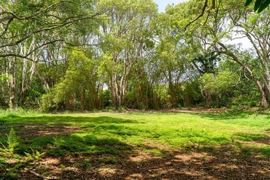 Welcome Home to Hauiki Road! This beautiful 37 acre property in - photo 19