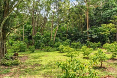 Welcome Home to Hauiki Road! This beautiful 37 acre property in - photo 20
