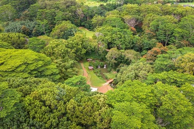 Welcome Home to Hauiki Road! This beautiful 37 acre property in - photo 24