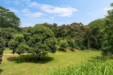 Welcome Home to Hauiki Road! This beautiful 37 acre property in - photo 25