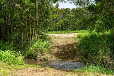 Welcome Home to Hauiki Road! This beautiful 37 acre property in - photo 28