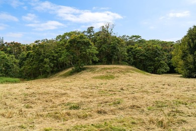 Welcome Home to Hauiki Road! This beautiful 37 acre property in - photo 29