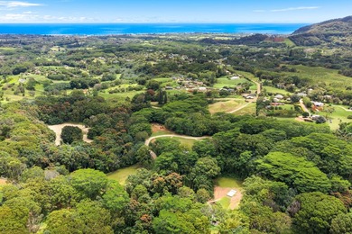 Welcome Home to Hauiki Road! This beautiful 37 acre property in - photo 30