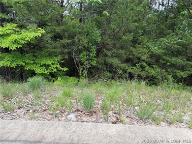 Tucked inside the gates of Old Kinderhook, Lot 25 Country Ridge - photo 4
