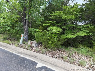 Tucked inside the gates of Old Kinderhook, Lot 25 Country Ridge - photo 5