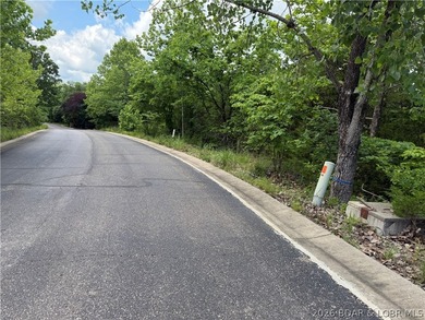 Tucked inside the gates of Old Kinderhook, Lot 25 Country Ridge - photo 6