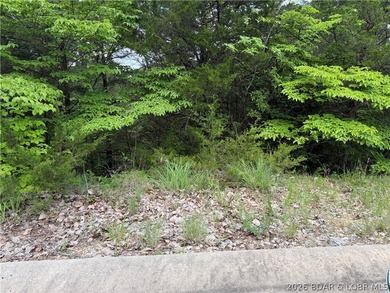 Tucked inside the gates of Old Kinderhook, Lot 25 Country Ridge - photo 7