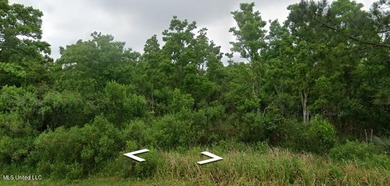 Exceptional Large Lot in Jordan River Estates! Discover the - photo 1