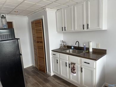OWNER FINANCE AVAILABLE-Back on market-no fault of seller. Newly - photo 7