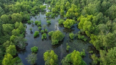 (private lake, pond, creek) Acreage For Sale in Big Sandy Texas