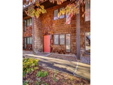 Lake Townhome/Townhouse For Sale in Johnson City, Tennessee