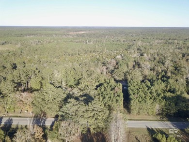 (private lake, pond, coastal) Acreage For Sale in Little River Alabama