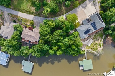 Discover this premier lakefront lot in the highly sought-after - photo 5
