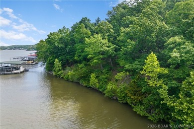 Discover this premier lakefront lot in the highly sought-after - photo 10
